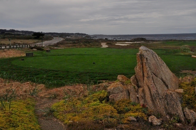 Point Joe